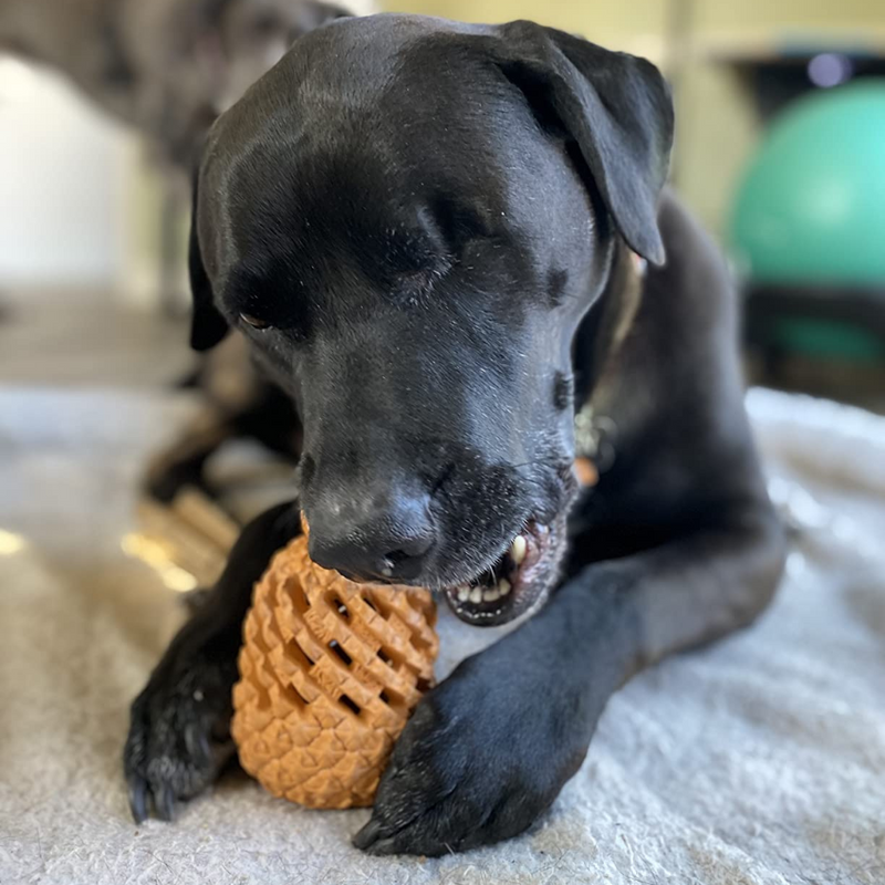 Pineapple Dog Chew Toys With Treat Fill for Aggressive Chewer