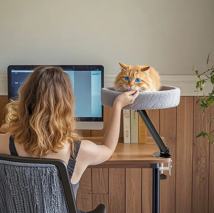 Cat Desk Bed | The Sustainable Desk-Mounted Cat Bed