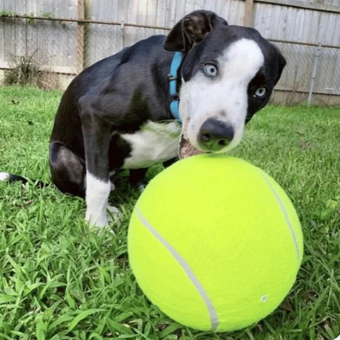 Jumbo Tennis Ball for Dogs - 9.5 Inch Giant Inflatable Dog Toy with Basketball Core