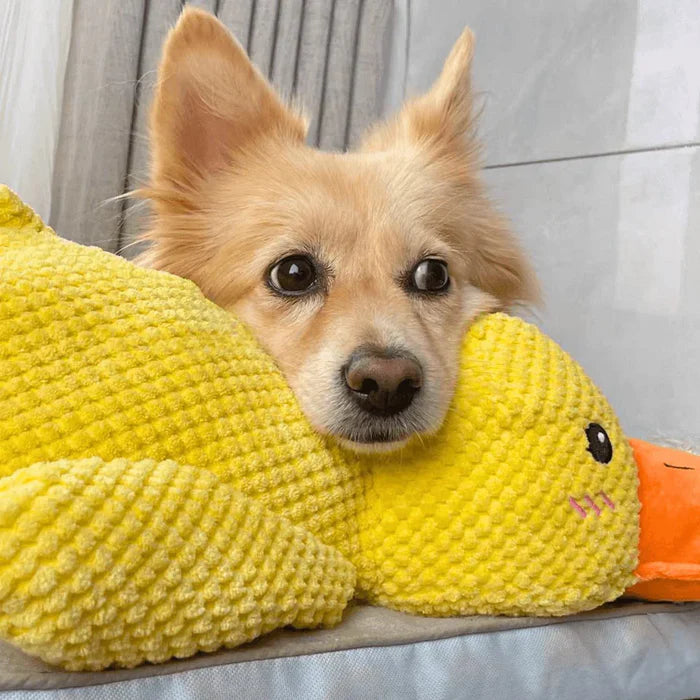 Calming Duck Dog Toy