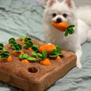 Carrot Garden - Dog Puzzle Toys