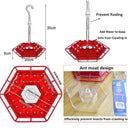 Ant Proof Hummingbird Feeder Outdoor Hanging Perch