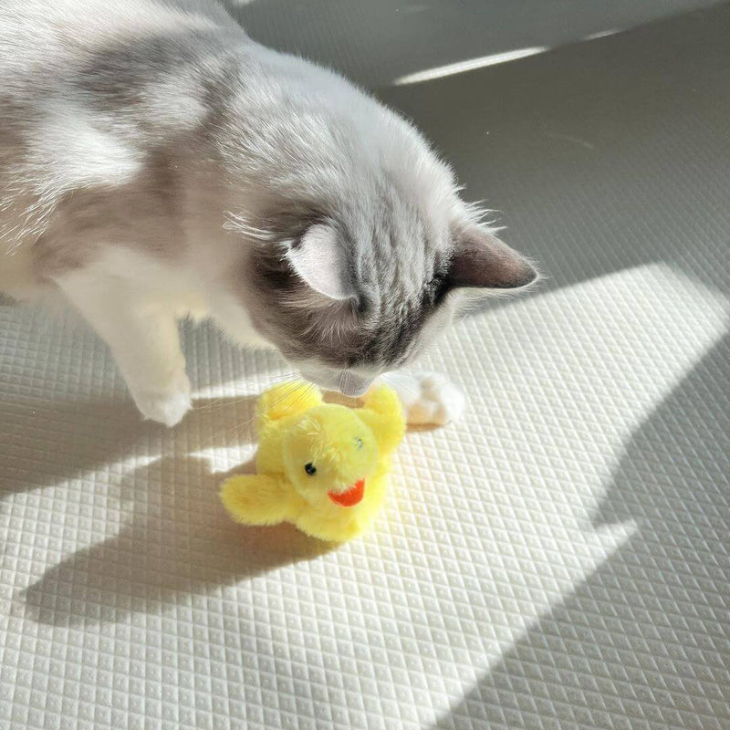 Flapping Duck Cat Toys