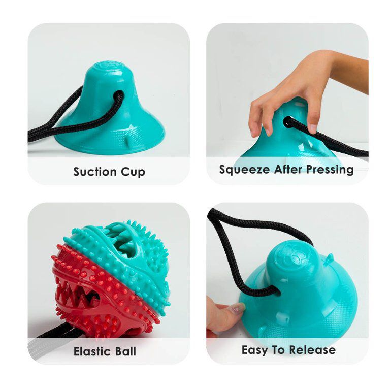 Suction Cup Dog Toys