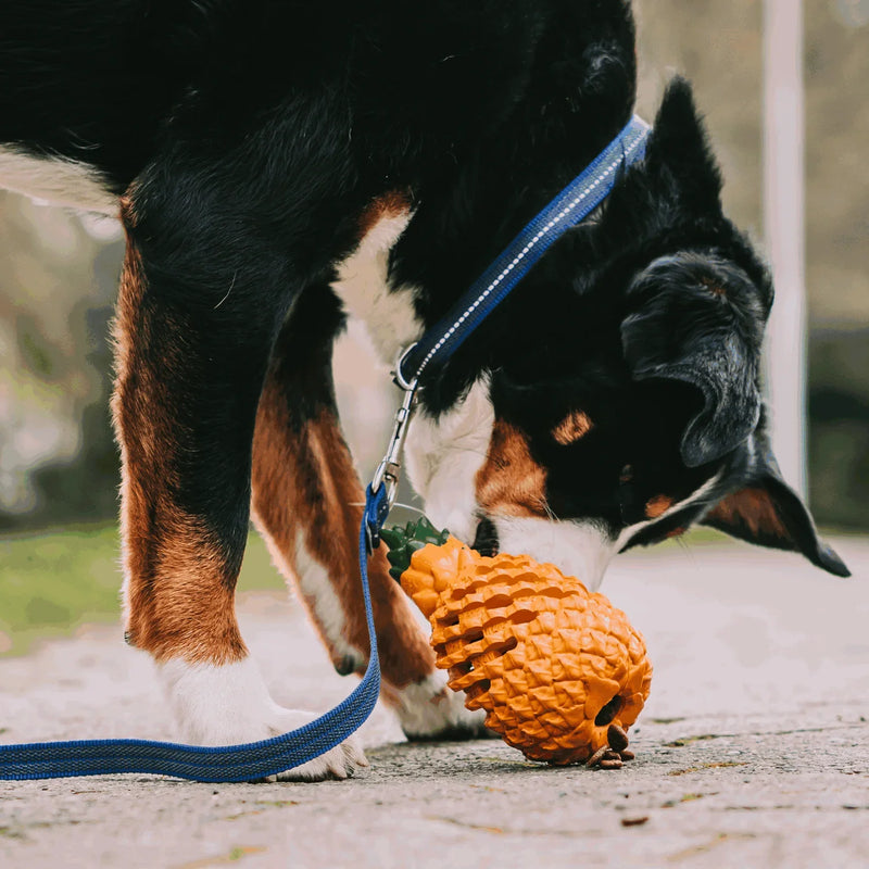 Pineapple Dog Chew Toys With Treat Fill for Aggressive Chewer