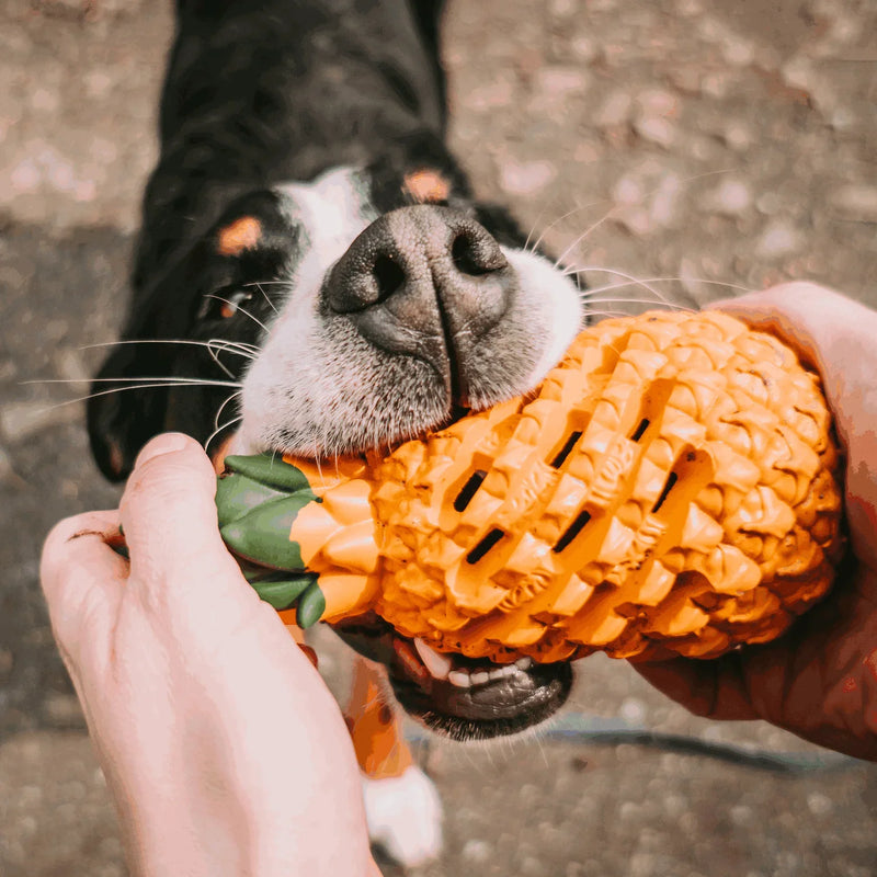 Pineapple Dog Chew Toys With Treat Fill for Aggressive Chewer