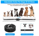 2-in-1 Wireless Dog Fence & Outdoor Training Collar, Dog Containment System
