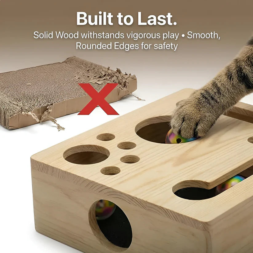 Cat Scratch Puzzle Enrichment Box - Nail Care Kit