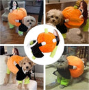 Dog Pumpkin Halloween Costume