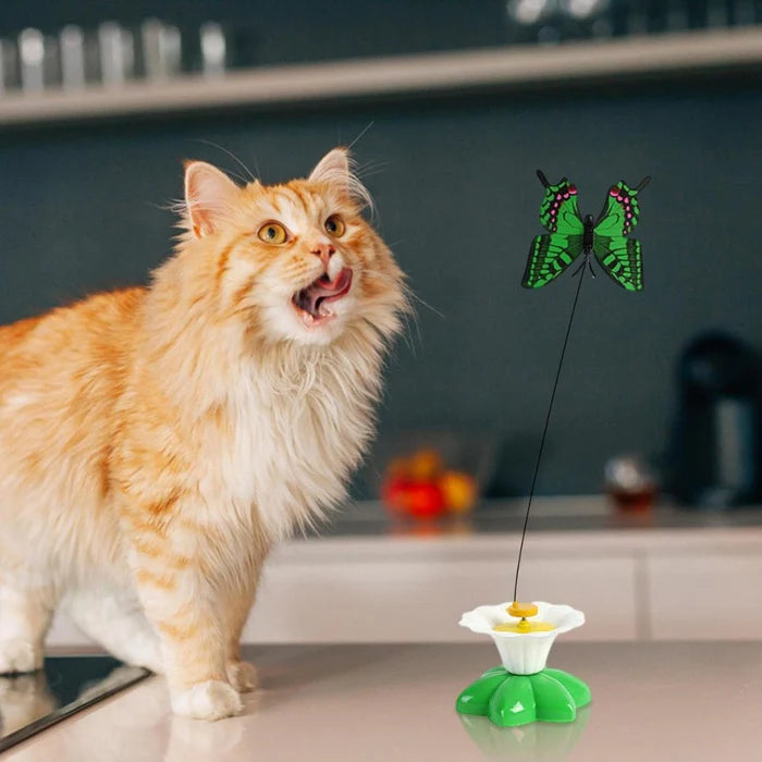 Electric Bird Teasing Cat Toys