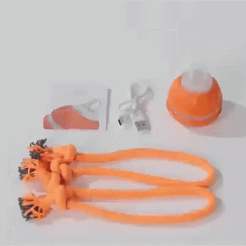 Interactive Smart Rolling Pet Ball