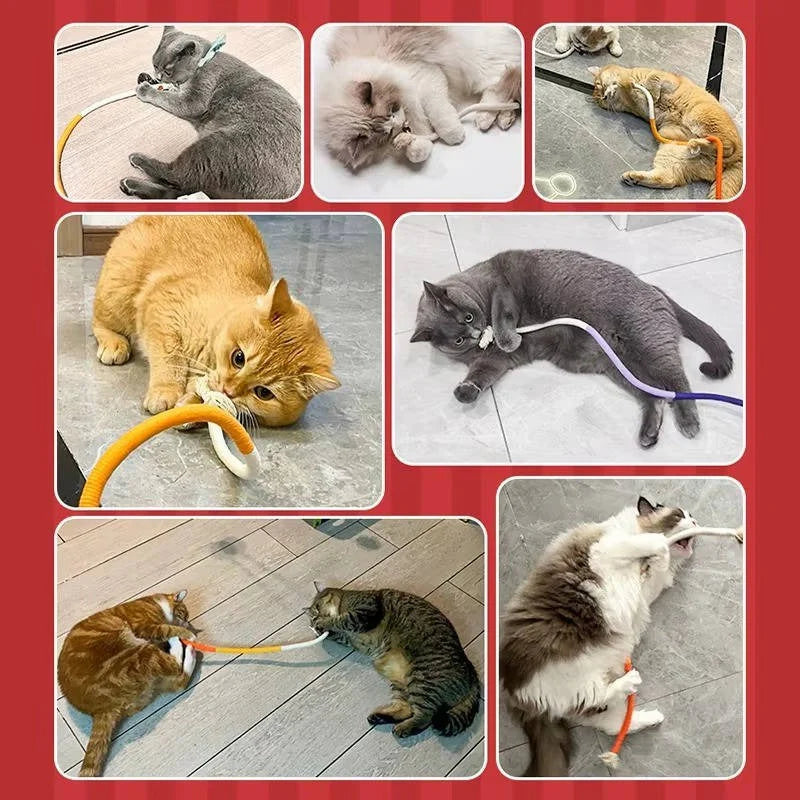 🔥😻Chewing Rope Specially Designed for Cats