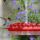 Ant Proof Hummingbird Feeder Outdoor Hanging Perch