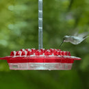 Ant Proof Hummingbird Feeder Outdoor Hanging Perch