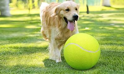 Jumbo Tennis Ball for Dogs - 9.5 Inch Giant Inflatable Dog Toy with Basketball Core