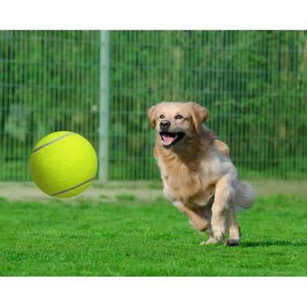 Jumbo Tennis Ball for Dogs - 9.5 Inch Giant Inflatable Dog Toy with Basketball Core