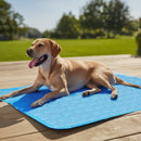 Cooling Mat for Dogs