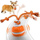Interactive Smart Rolling Pet Ball