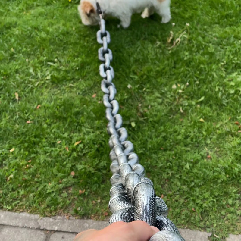 🐶The Chain Paws - 2025 Funniest Pet Chain🔒