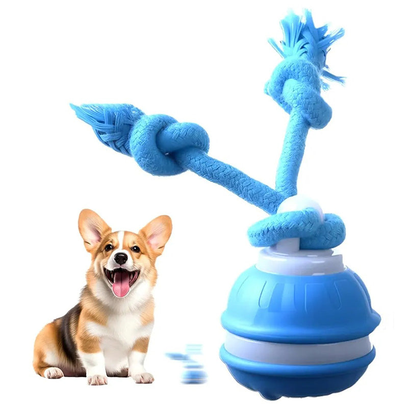 Smart Touch-Activated Automatic Rolling Ball For Pet