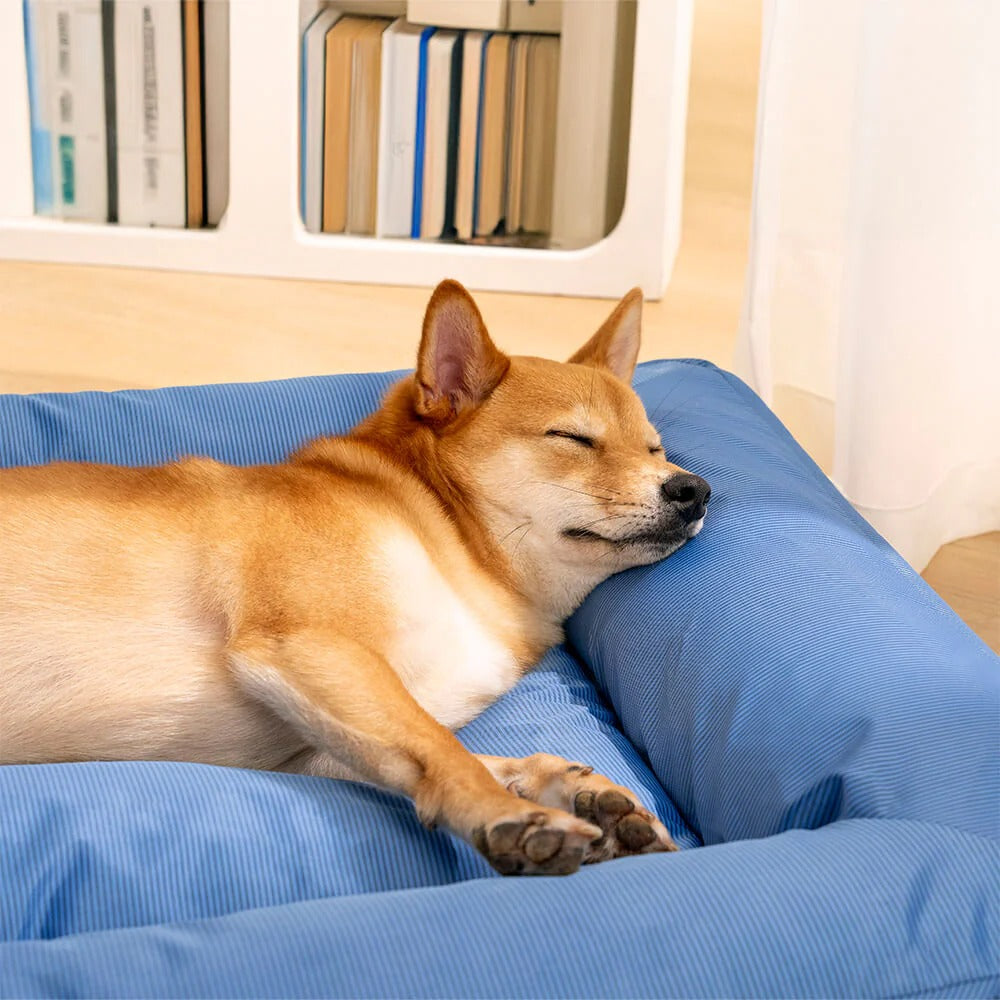 The Ultimate Relief™ Orthopedic Dog Bed – 100% Waterproof, Joint Support & Anxiety-Calming Design
