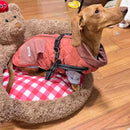 Dog Winter Jacket Coat