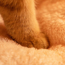 🐈2025 New Removable and Washable Winter Closed-Off Cat Bed 🐾