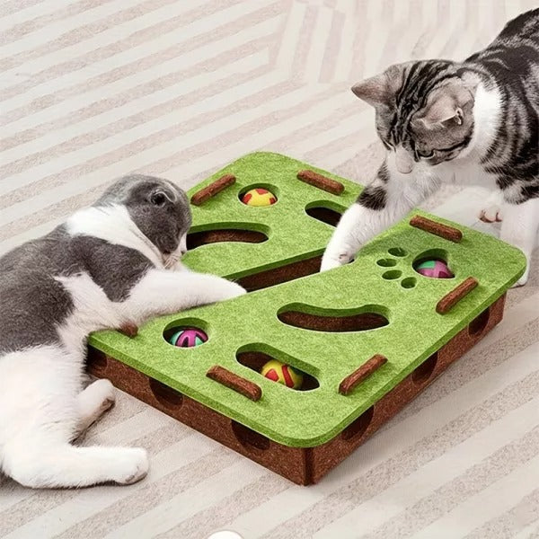 Cat Scratch Puzzle Enrichment Box: Nail File Stress Free Alternative to Clippers and Grinders