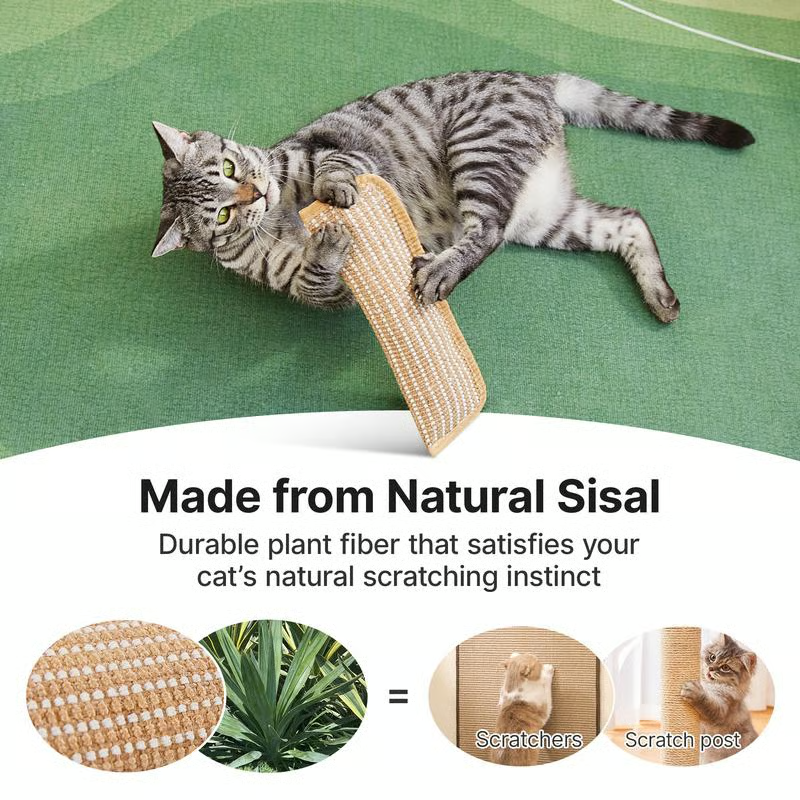 🐱Interactive Catnip Chew Toy for Cat