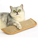 🐱Interactive Catnip Chew Toy for Cat