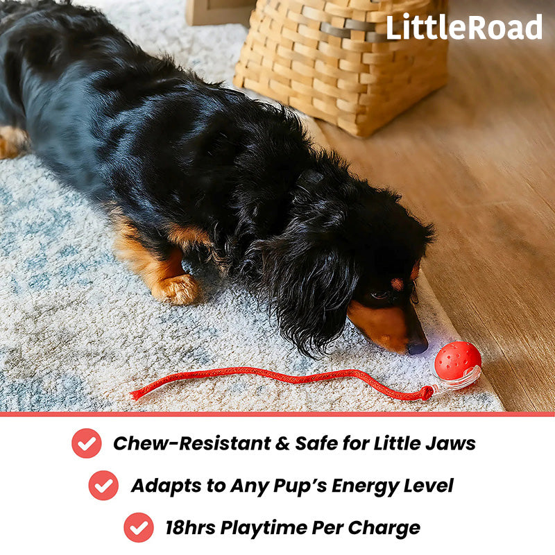 Tiny Fetch Motion Pet Toy