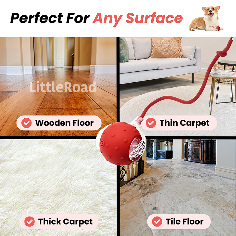 Tiny Fetch Motion Pet Toy