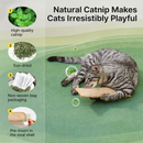 🐱Interactive Catnip Chew Toy for Cat