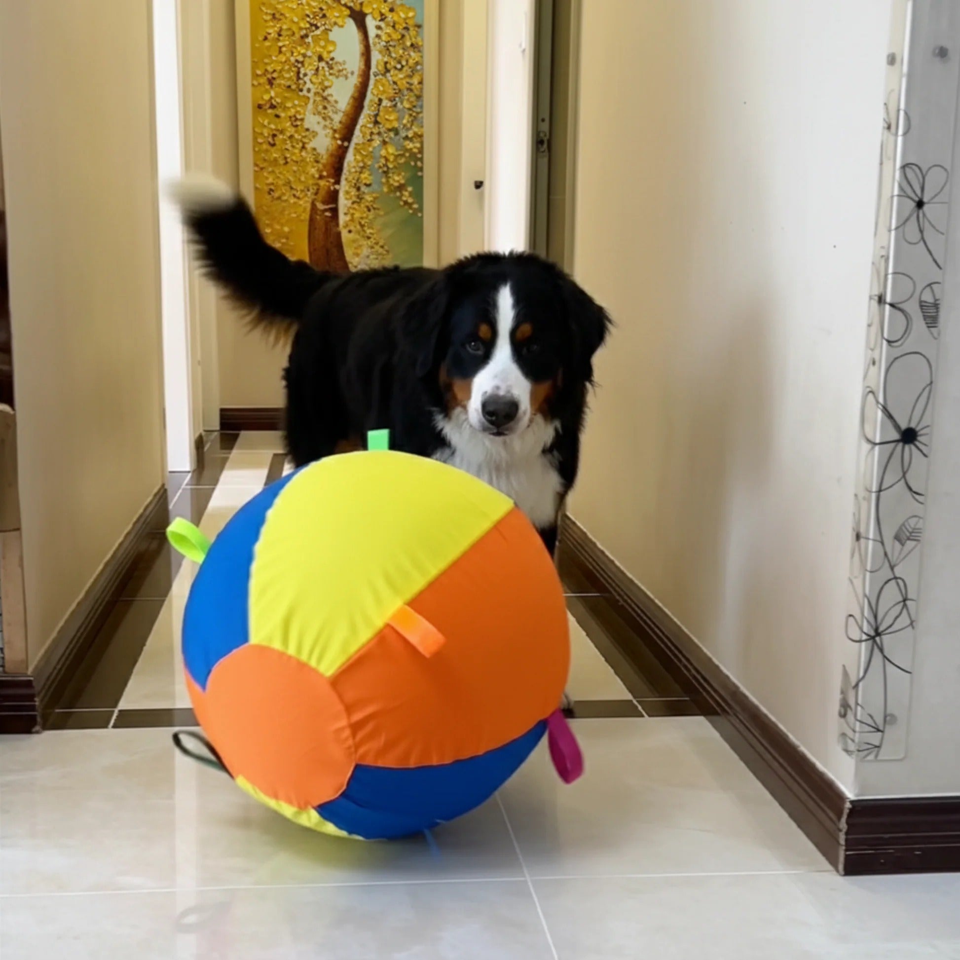 Calming Jumbo Ball Toy for Dogs