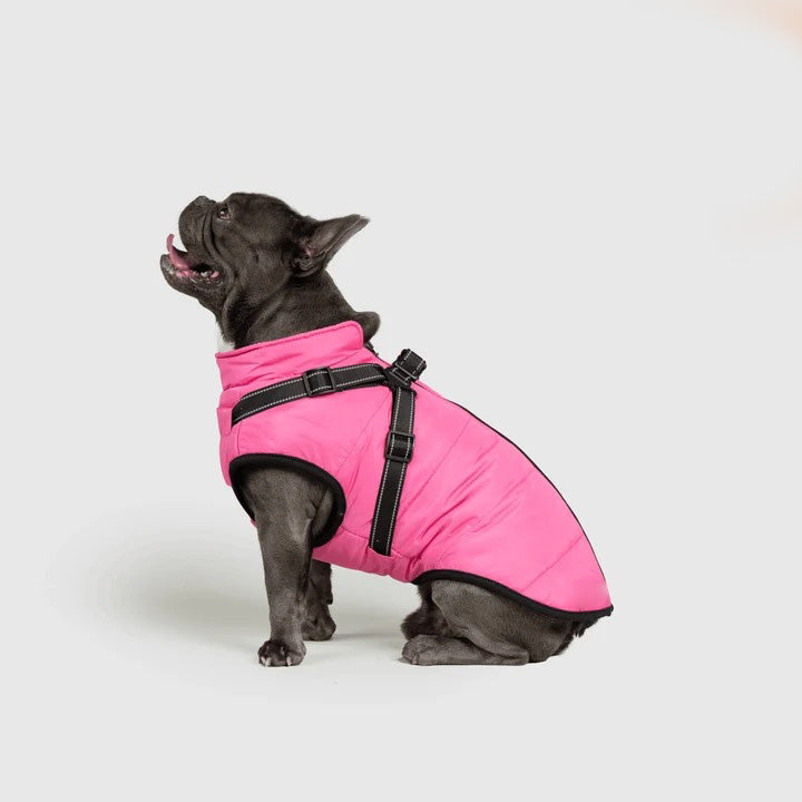 3 in 1 Winter Jacket For Dogs