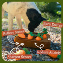 Carrot Garden - Dog Puzzle Toys