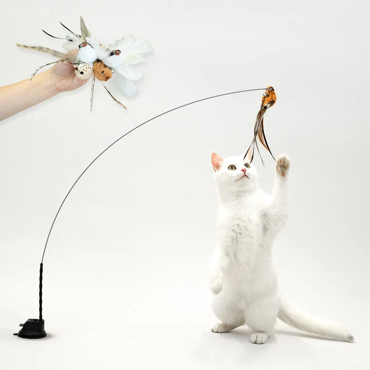 Interactive Bird Simulation Cat Toy Set