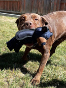 Indestructible & Interactive Bear Dog Toys For Heavy Chewers