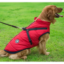 Winter Jacket For Dogs