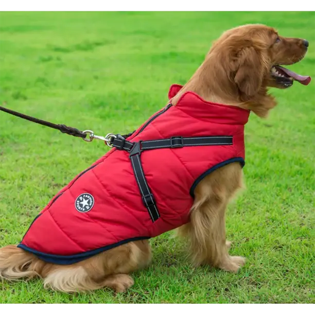 Winter Jacket For Dogs
