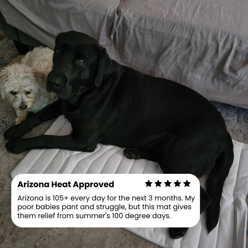 Cooling Mat for Large Dogs