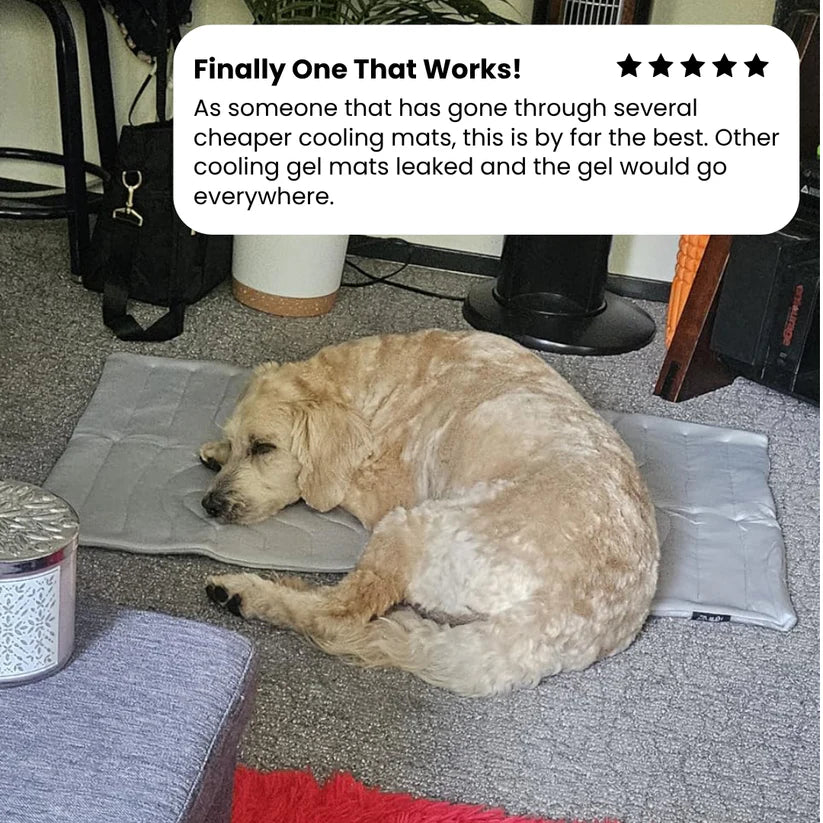 Cooling Mat for Large Dogs