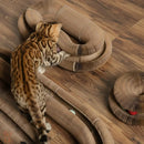 Cat Toy with Scratching Pad for Indoor Cats