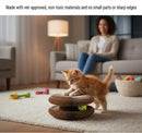 Cat Toy with Scratching Pad for Indoor Cats