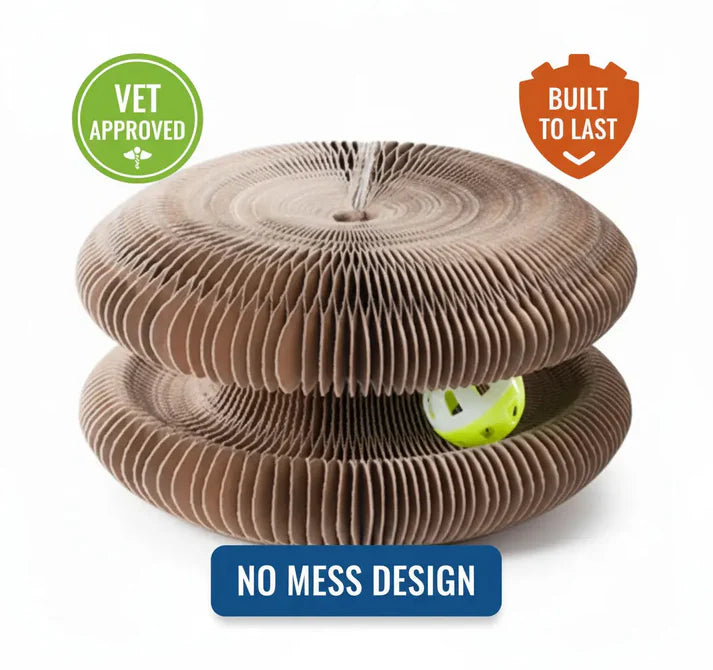 Cat Toy with Scratching Pad for Indoor Cats