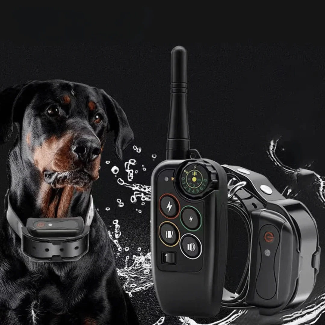 Long Range 3000-ft Waterproof Dog Training E-Collar & Remote