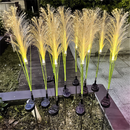 Solar Reed Garden Light