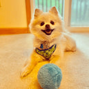 Active Rolling Ball – Anti-Anxiety Automatic Moving Ball