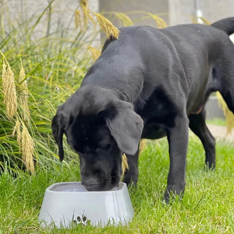 No-Spill Pet Water Bowl